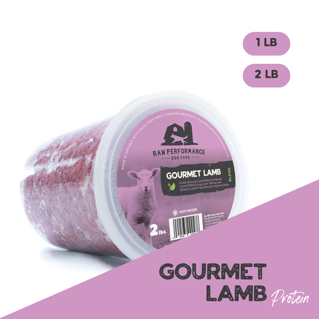 Gourmet Lamb