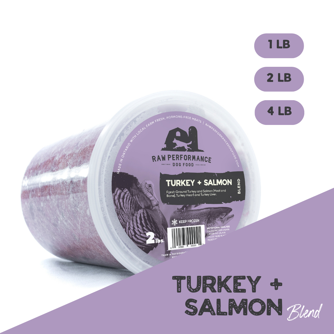 Turkey + Salmon Blend