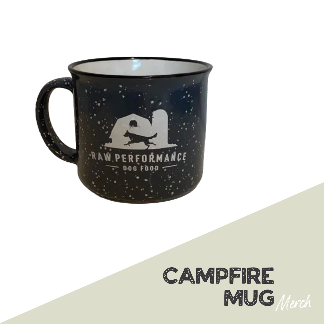 Campfire Mug