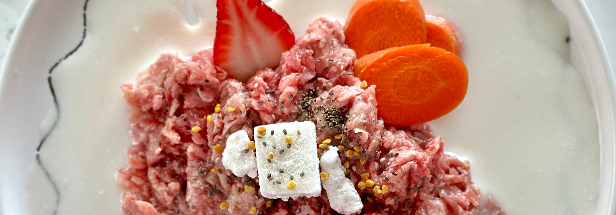 Can i give my dog raw ground beef online