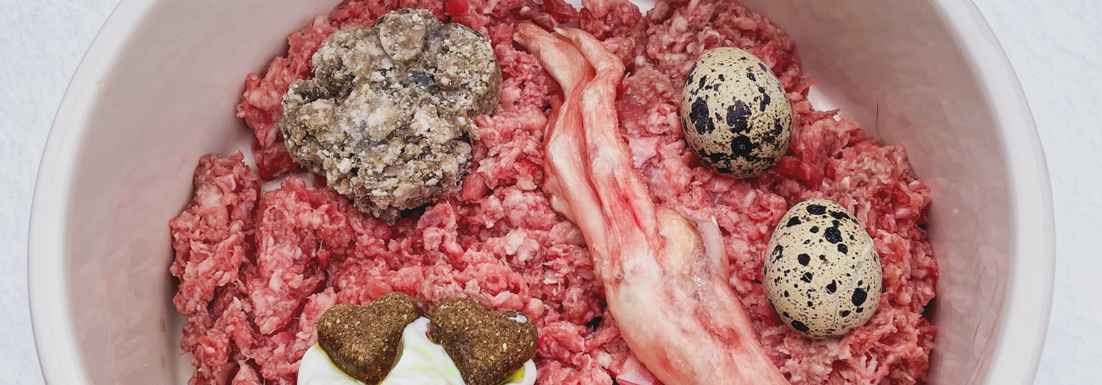 Is raw beef safe for dogs online