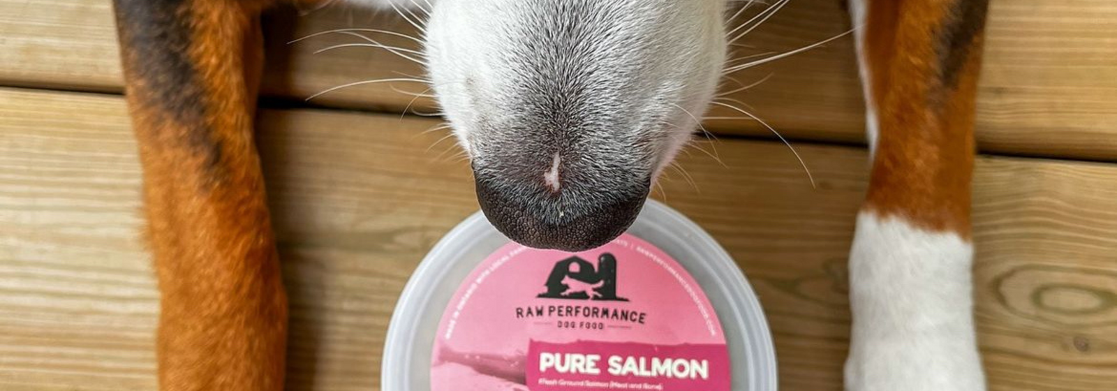 How Raw Feeding Can Help with Dog Allergies