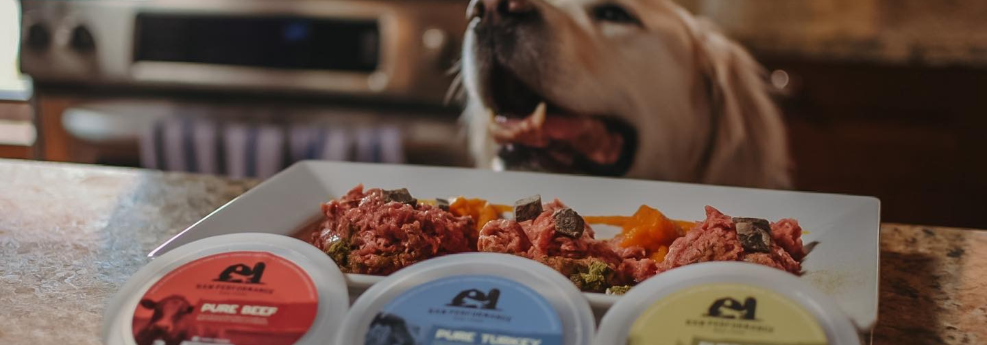 Weight Management Tips For Your Raw Fed Dog Raw Performance Dog Food