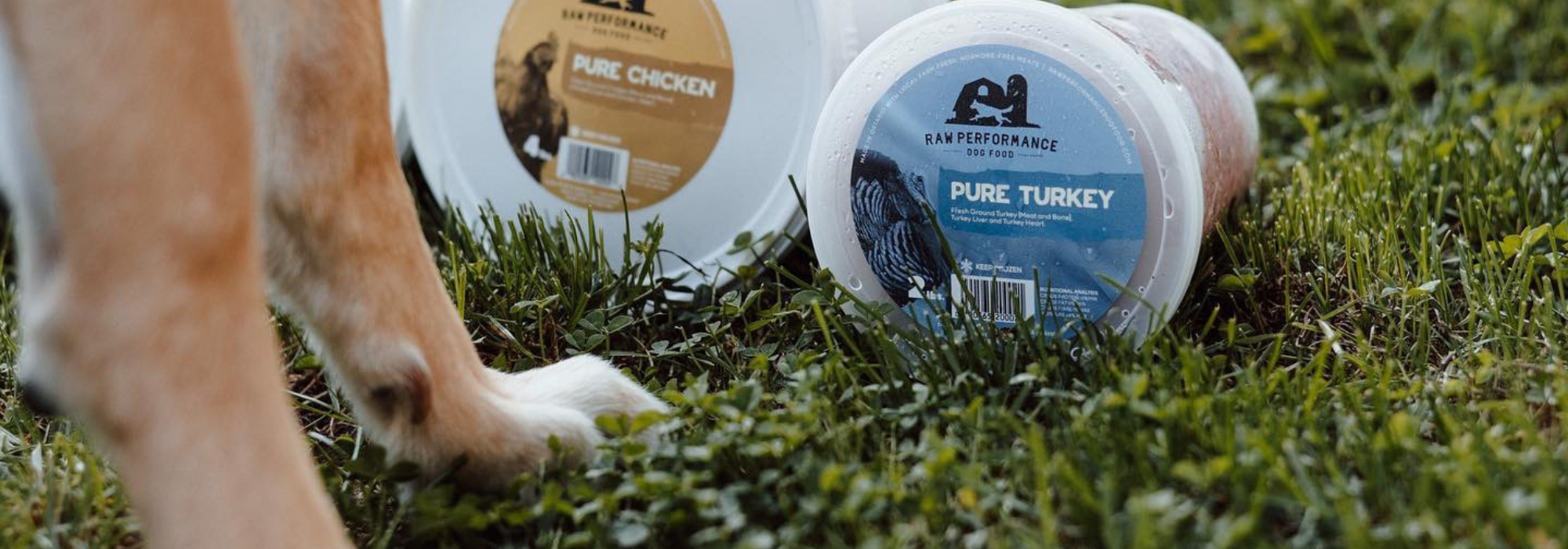 How Feeding A Raw Diet Can Help Your Pet s Allergies Raw