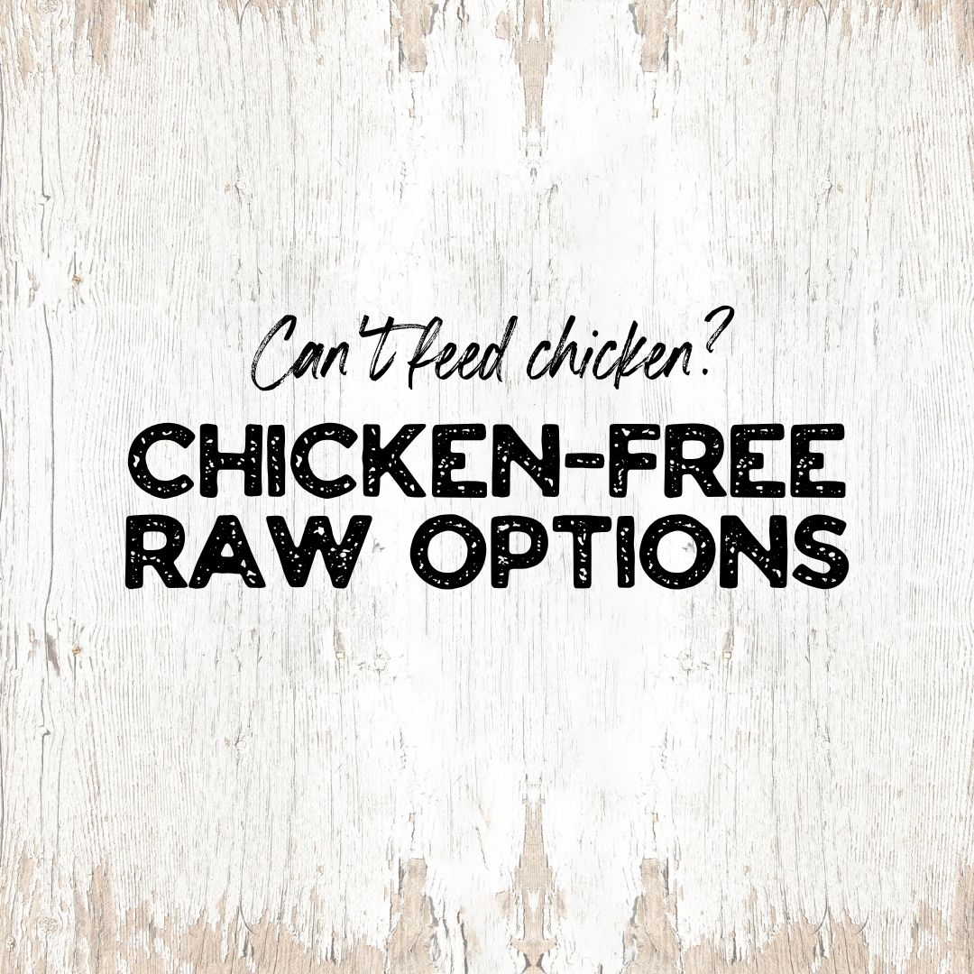 Chicken-Free Dog Food
