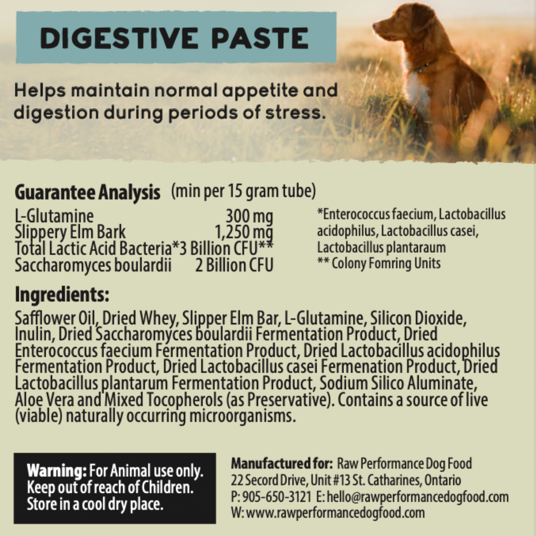 Digestive Paste