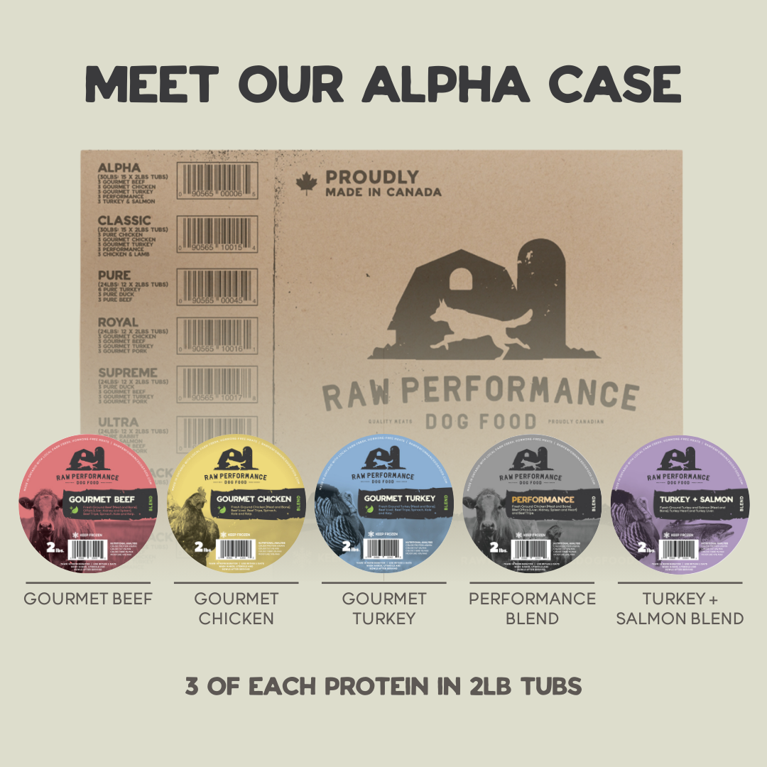 The Alpha Case