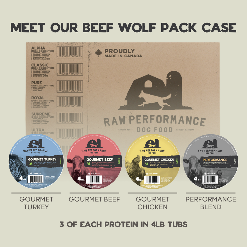 Beef Products Raw Performance Dog Food Local Delivery Ontario