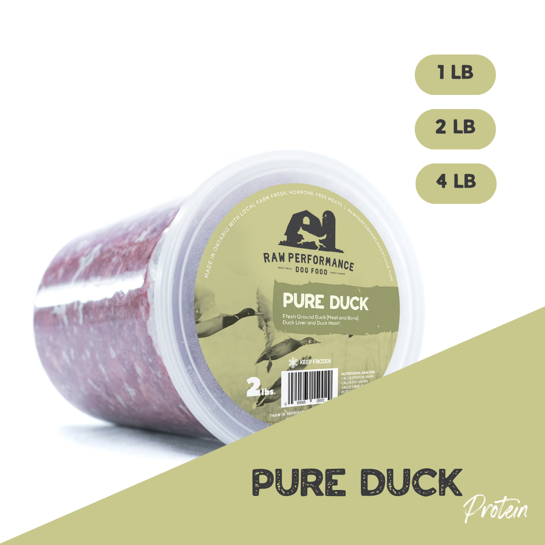 Pure Duck Raw Dog Food Delivery Ontario Raw Performance Dog Food