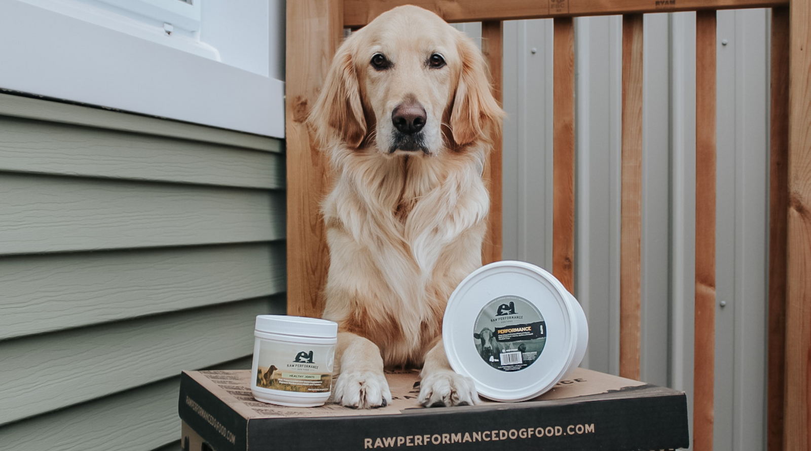 Dog food wholesale online cheap