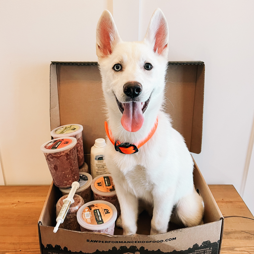 Feeding Calculator Raw Performance Dog Food