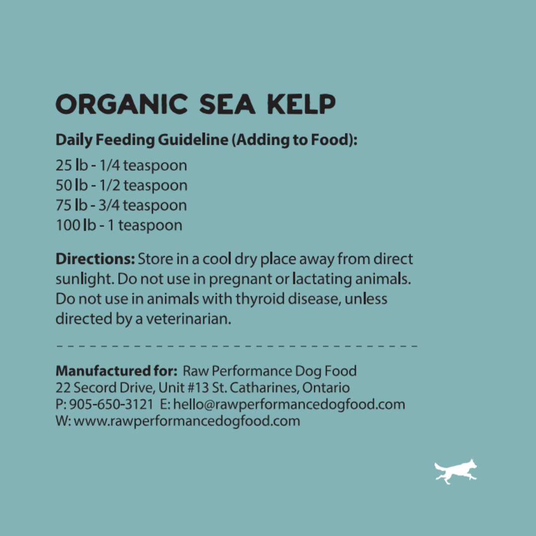 Kelp de mer biologique