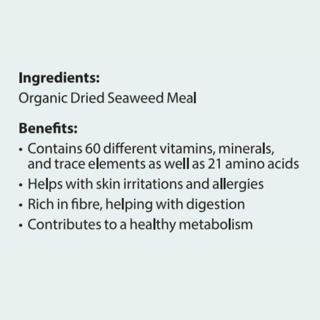 Kelp de mer biologique