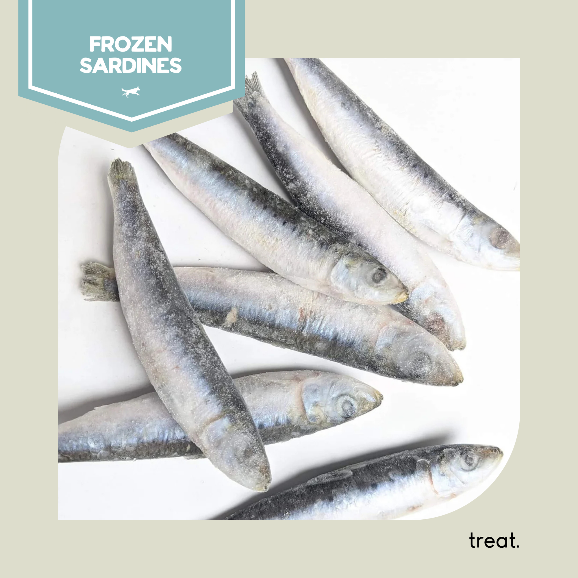 Sardines