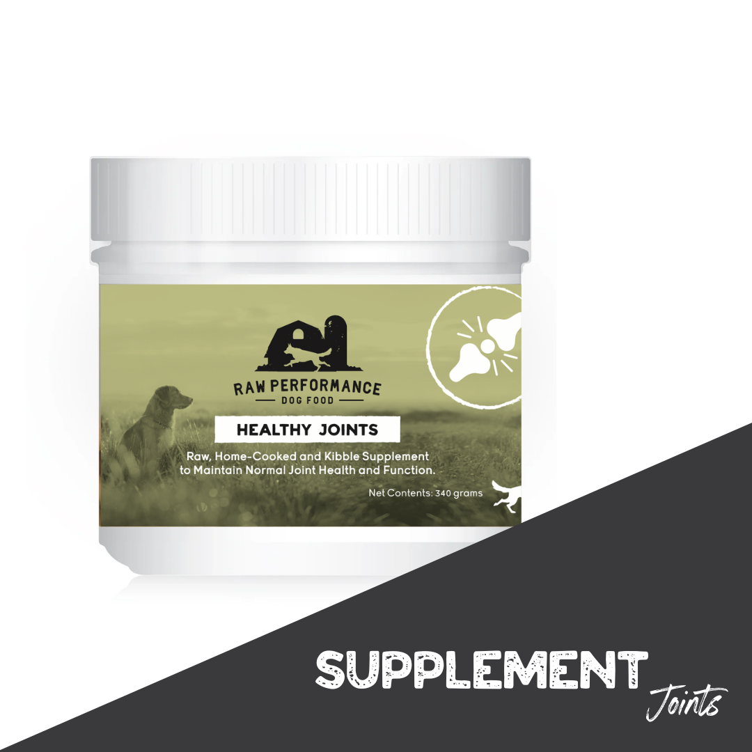 Best supplements for raw fed dogs online