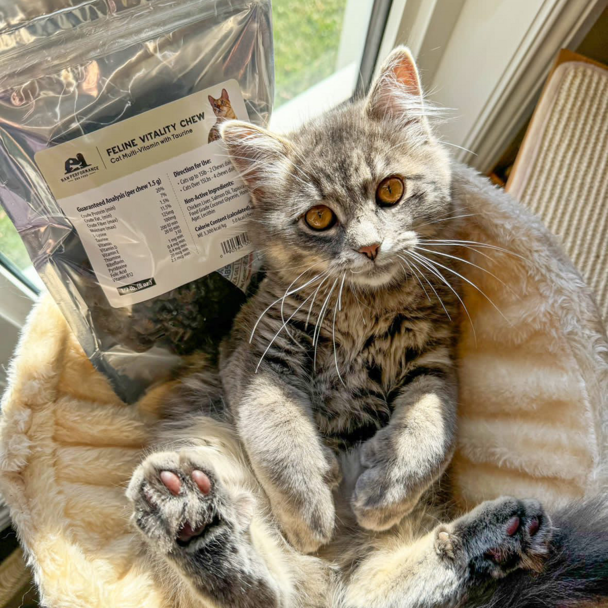 Mâcher de la vitalité féline