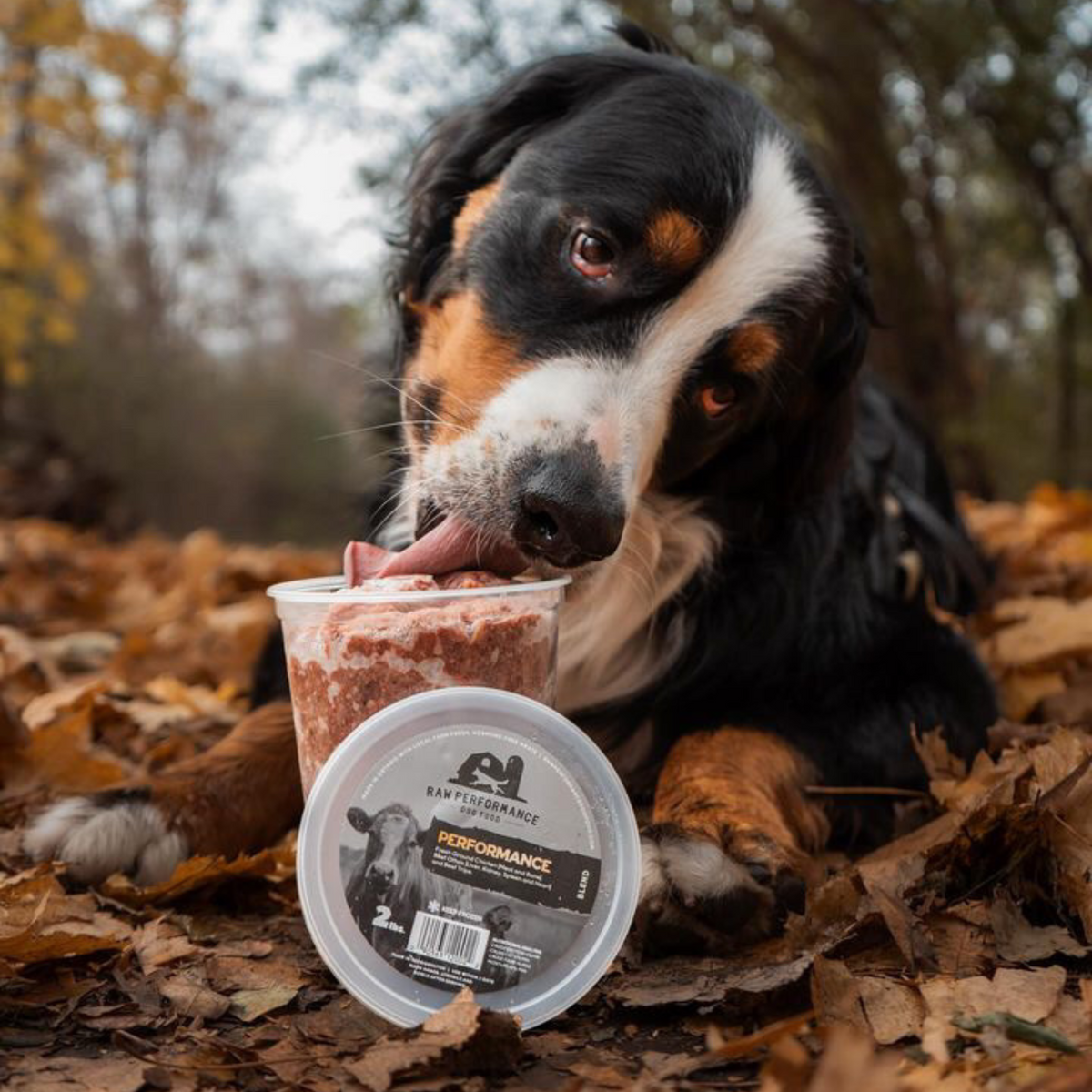 Mélange de performance