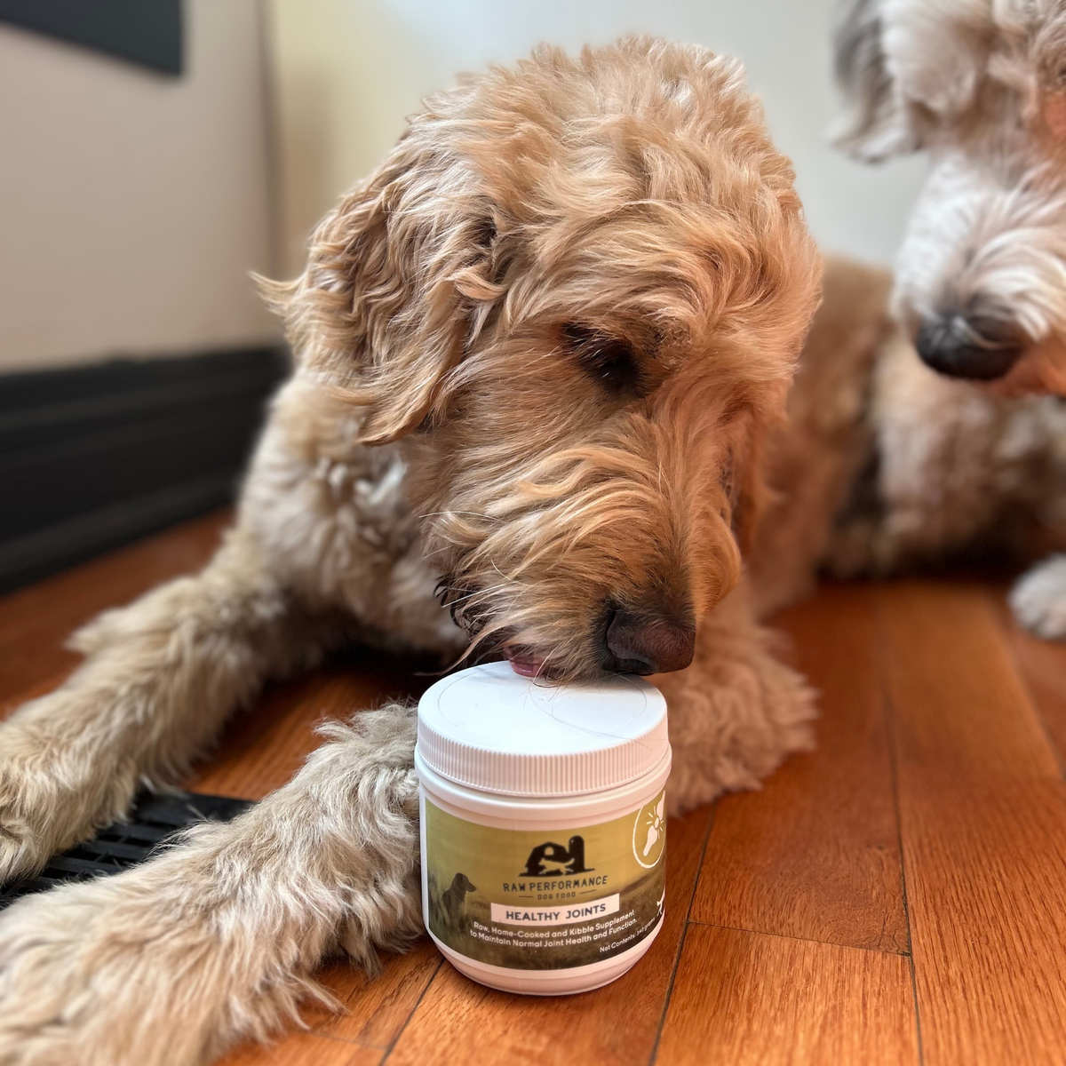 Articulations saines