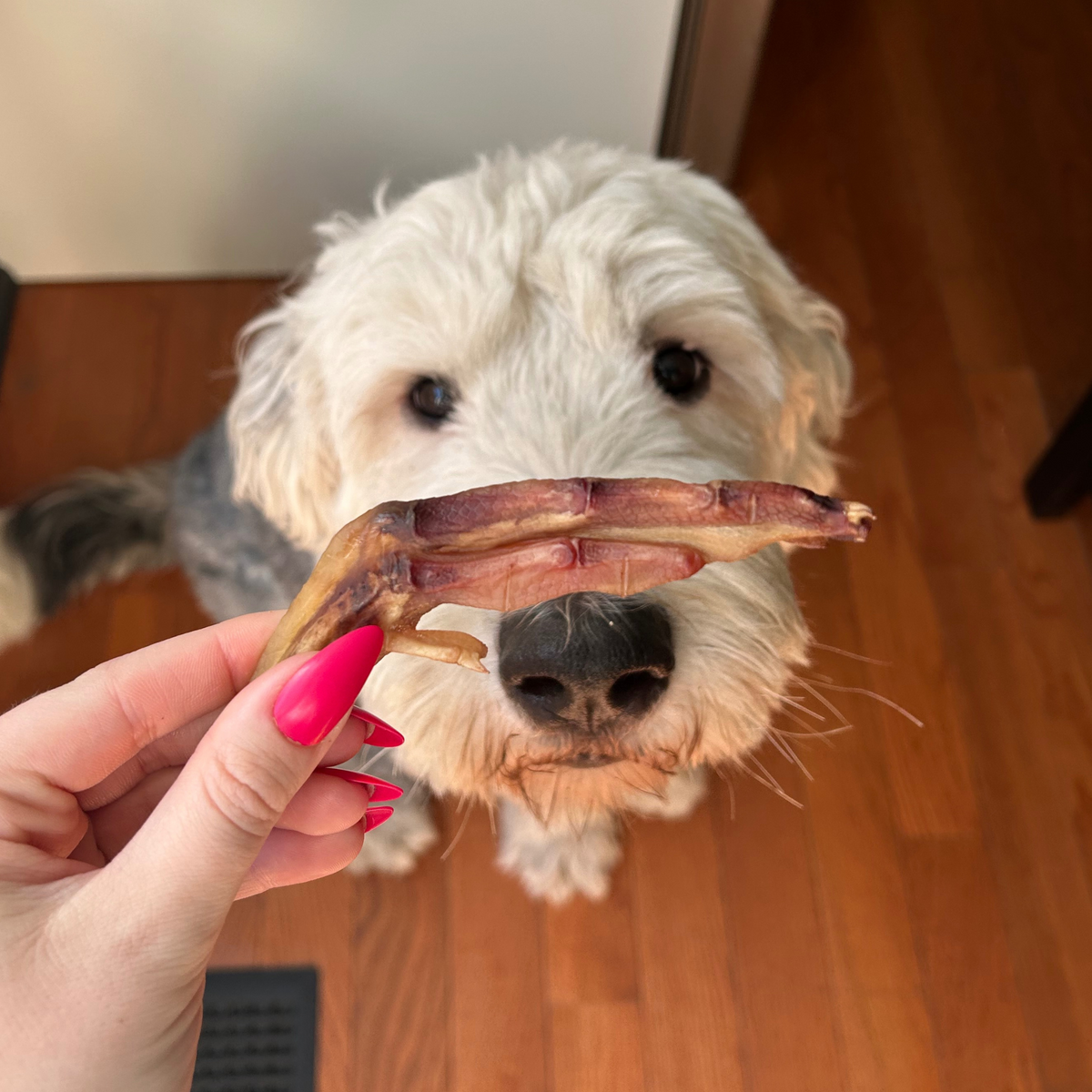 Dehydrated Duck Feet
