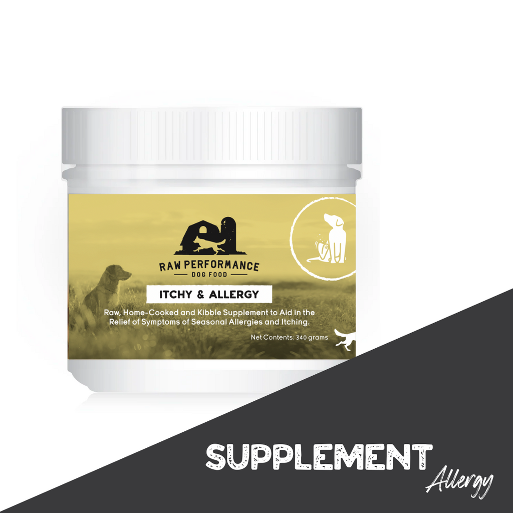 Allergy powder for deals dogs