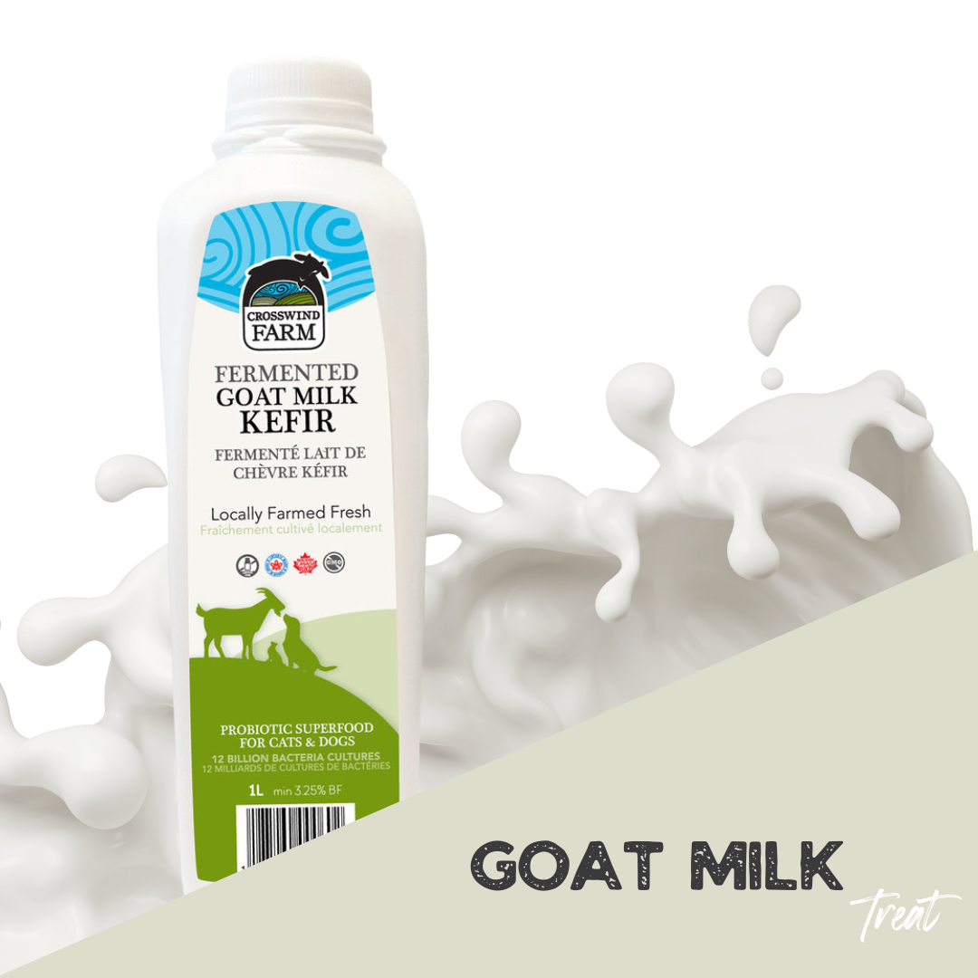 Goat milk kefir for dogs best sale
