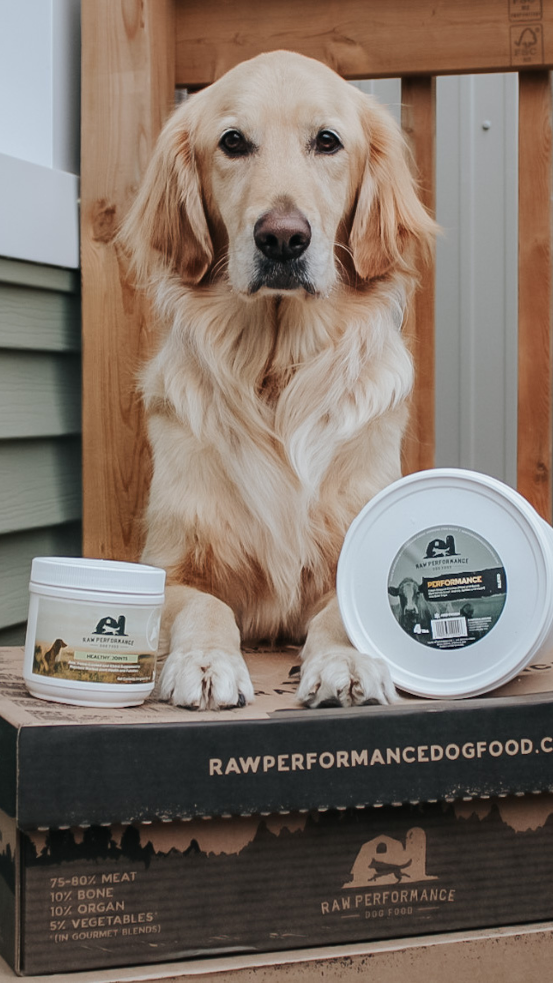 Reel raw best sale dog food