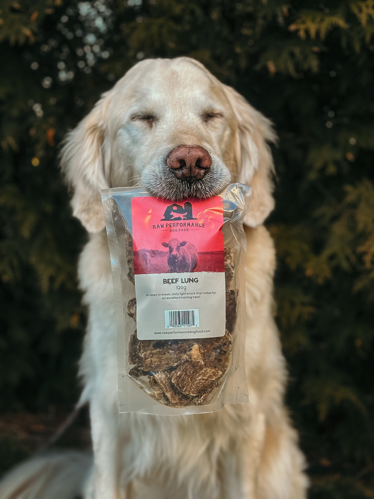 Dehydrated Beef Lung Dog Treats | 120g Bag