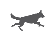 Raw Performance Dog Food logo