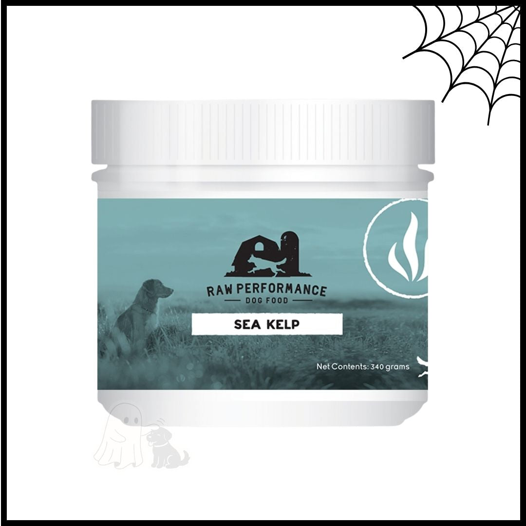 Kelp de mer biologique