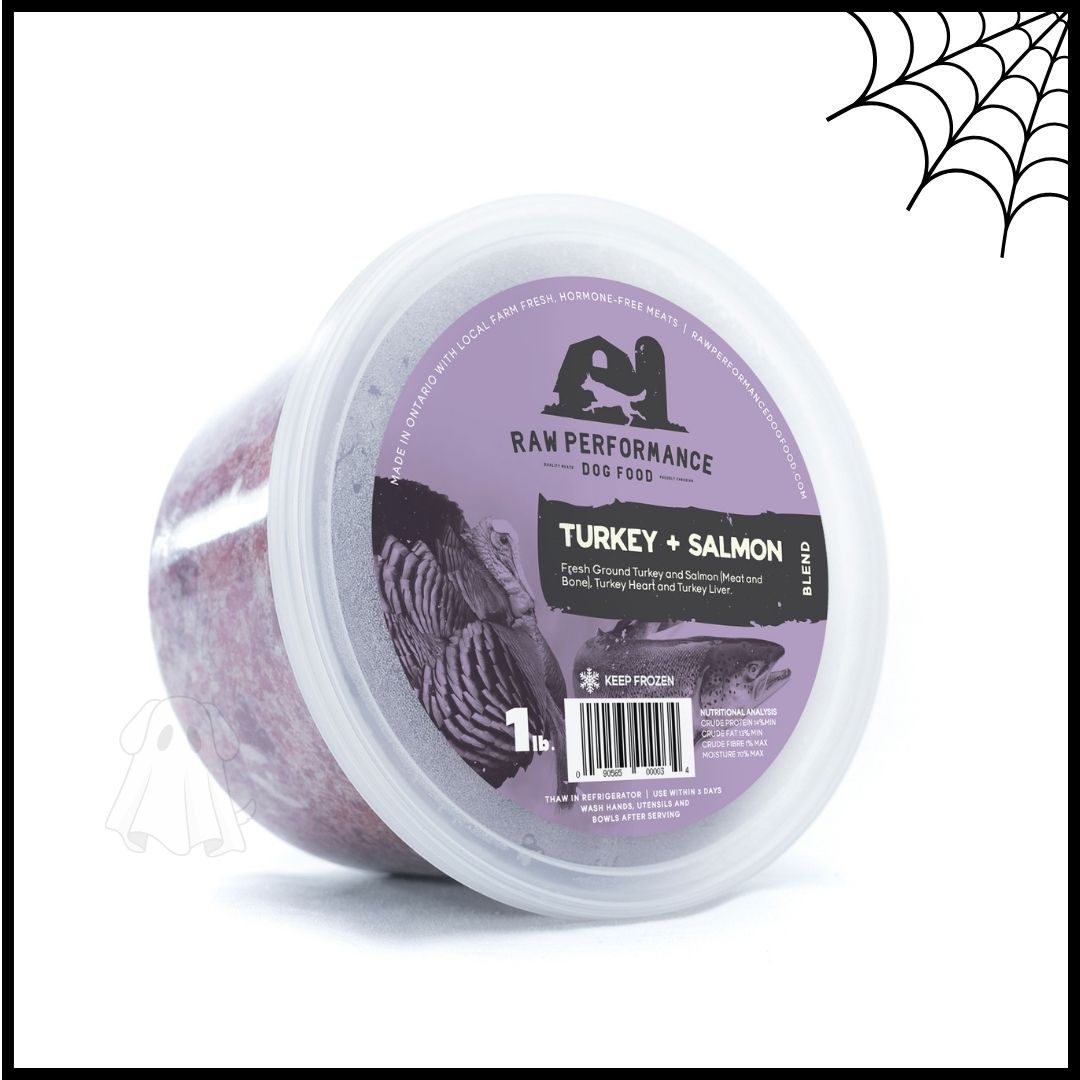 Turkey + Salmon Blend