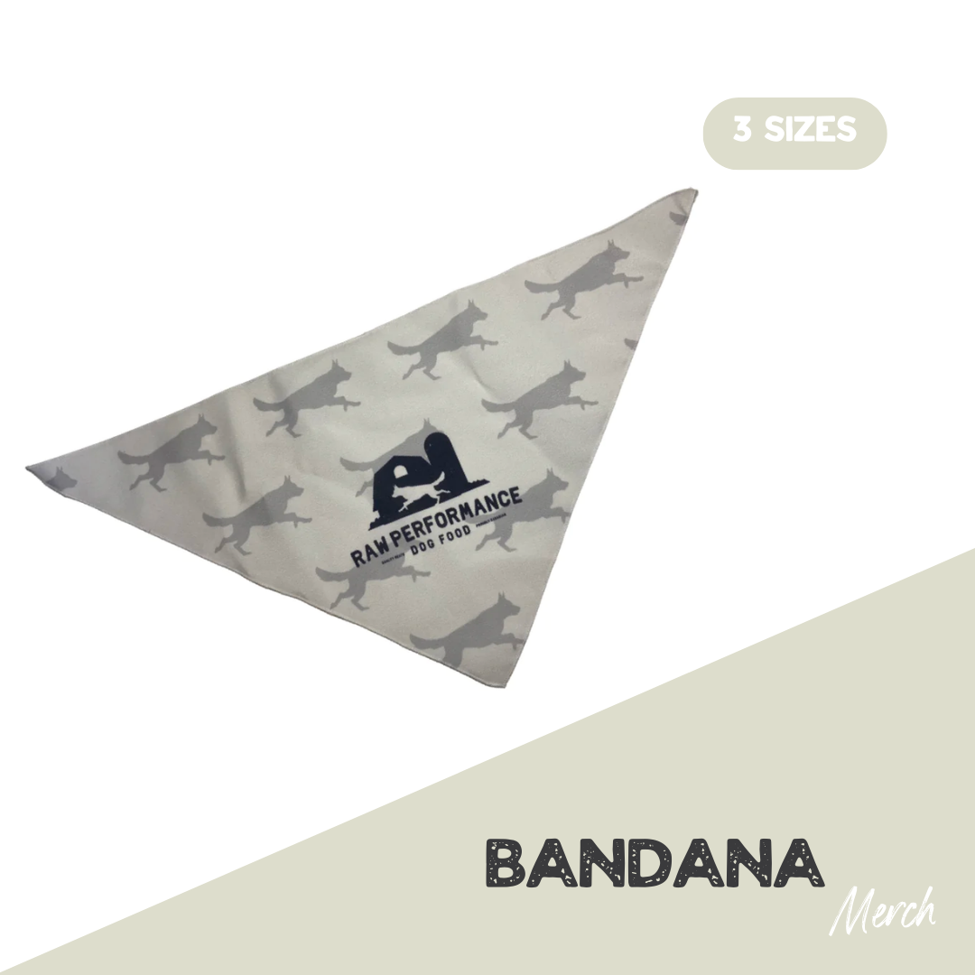 Bandana