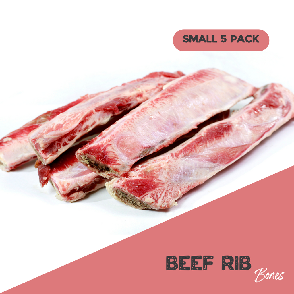 Short rib top bones dogs