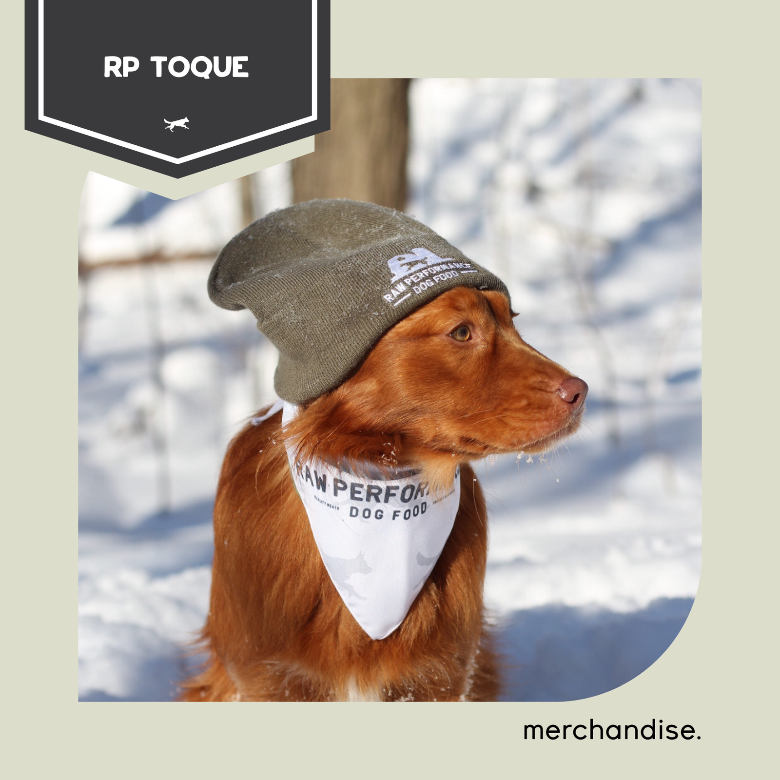 Performance brute toque