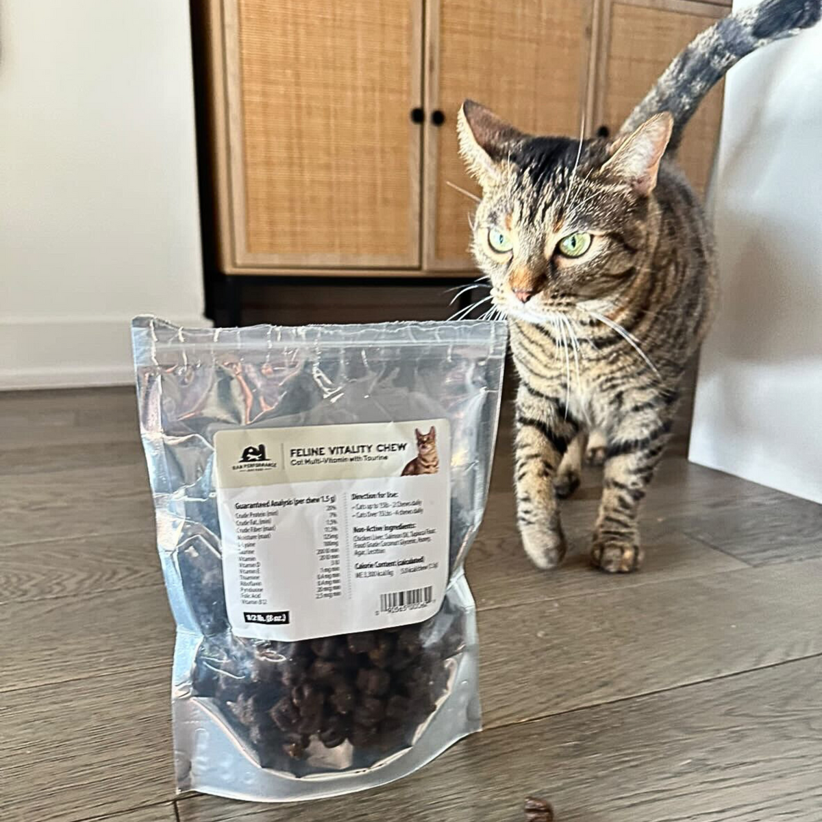 Mâcher de la vitalité féline