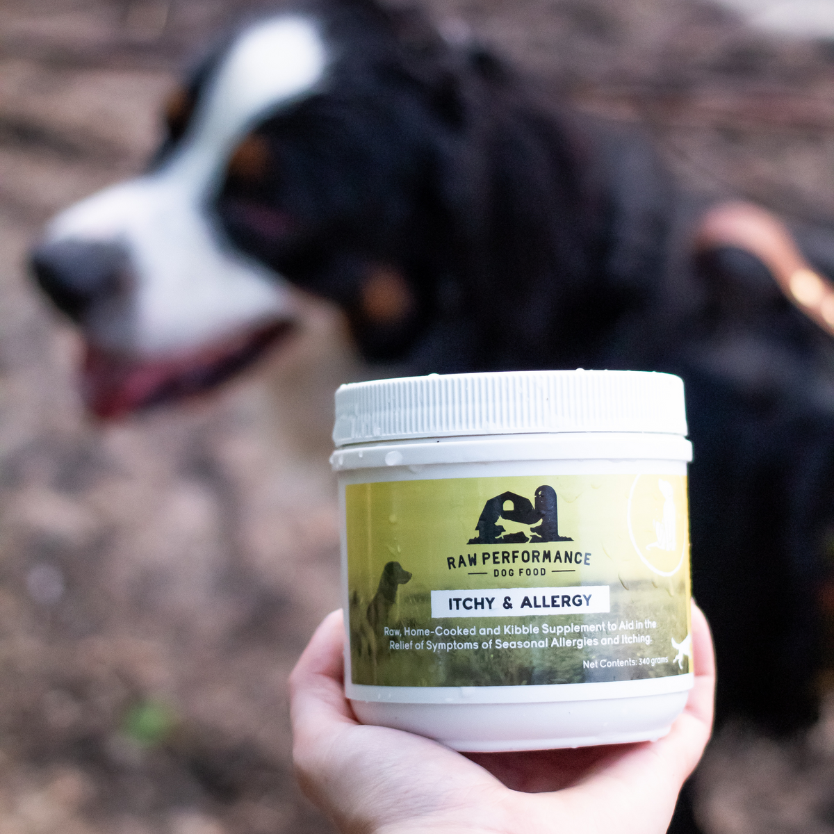 Dog food for itchy dogs hot sale