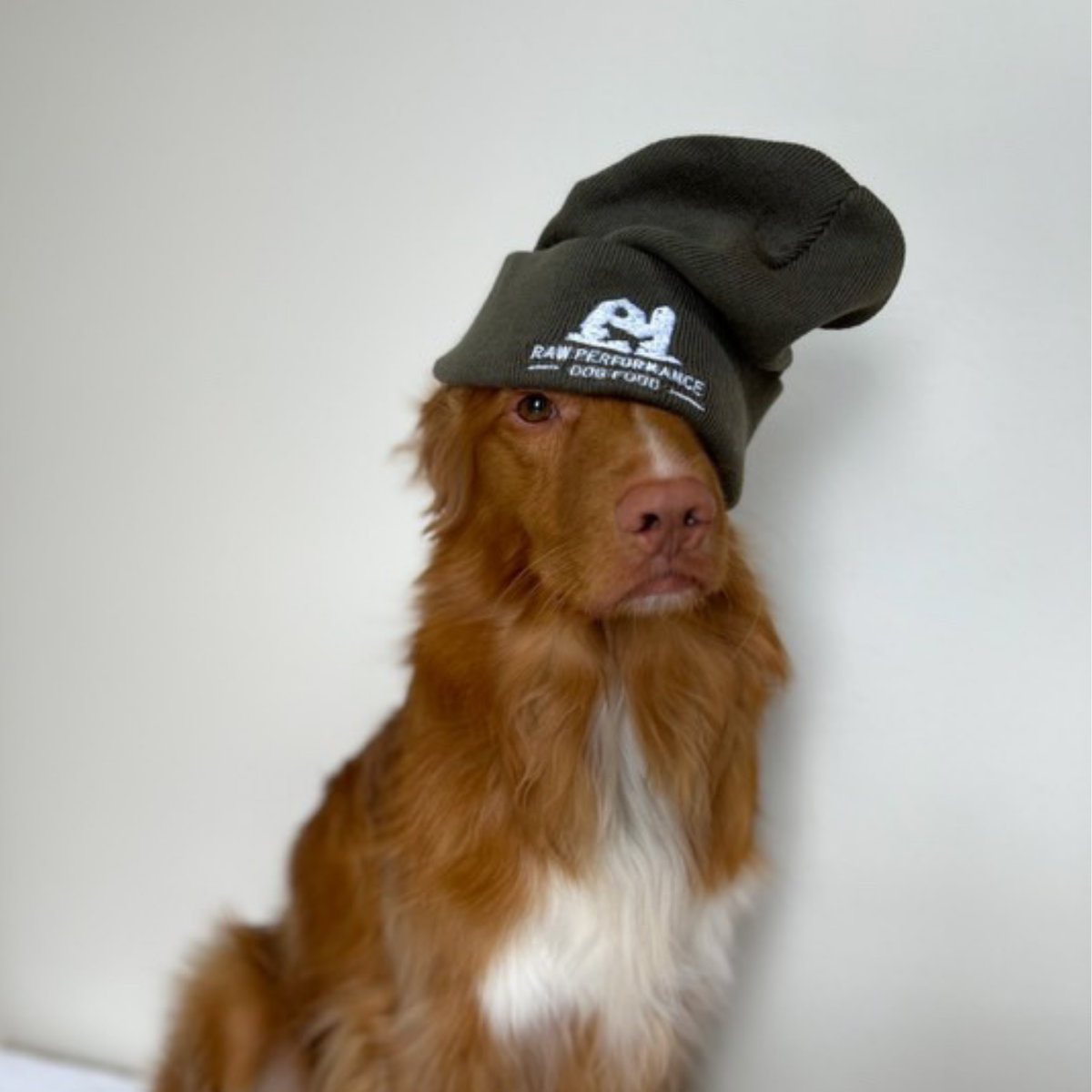 Performance brute toque