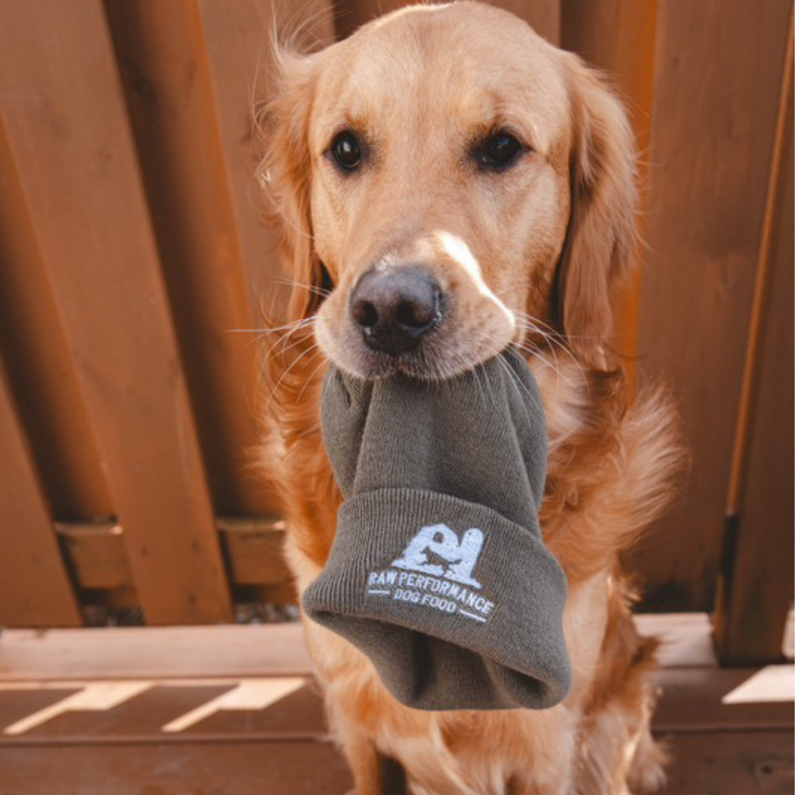 Performance brute toque