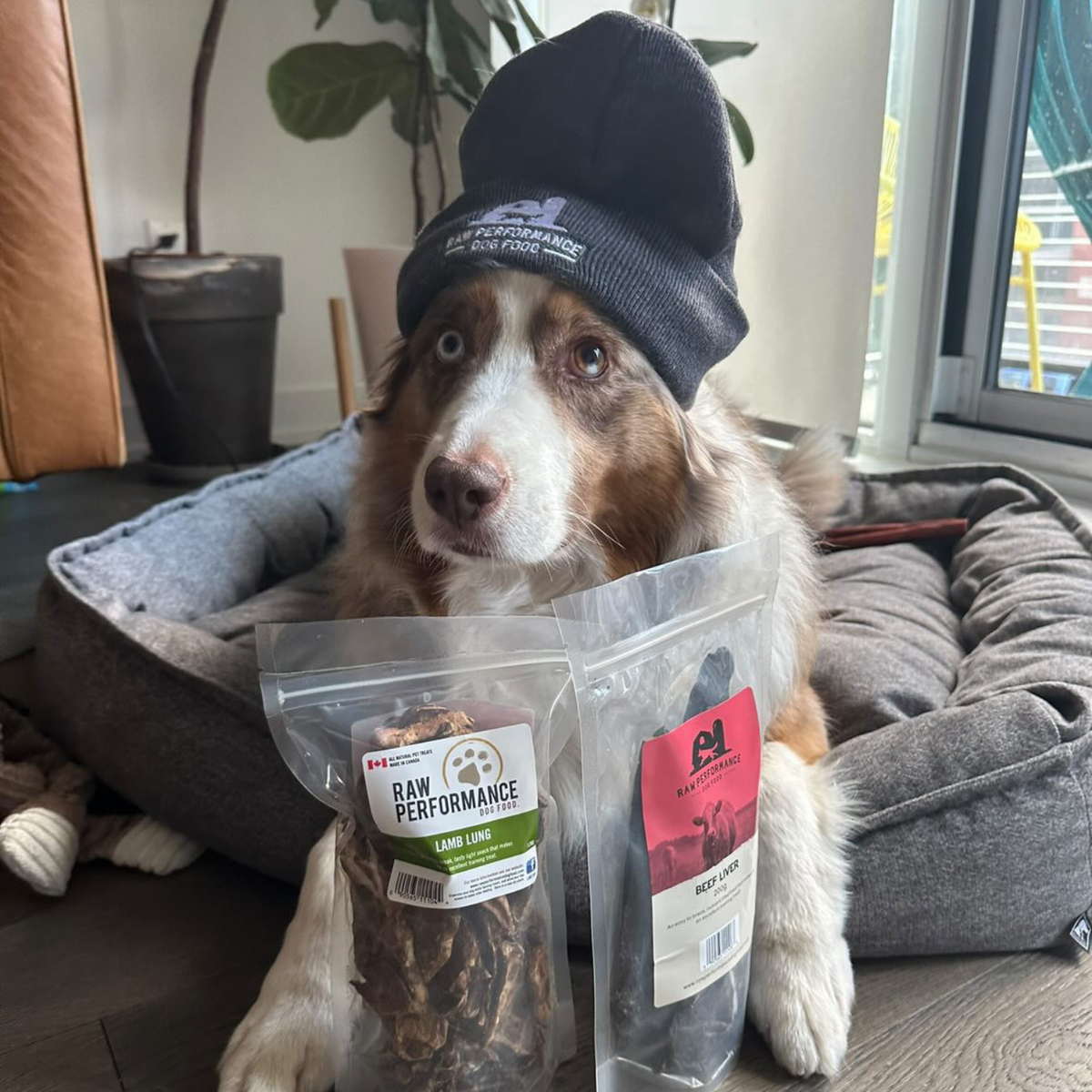 Performance brute toque