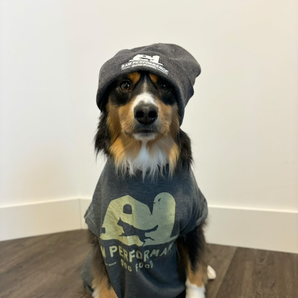 Performance brute toque