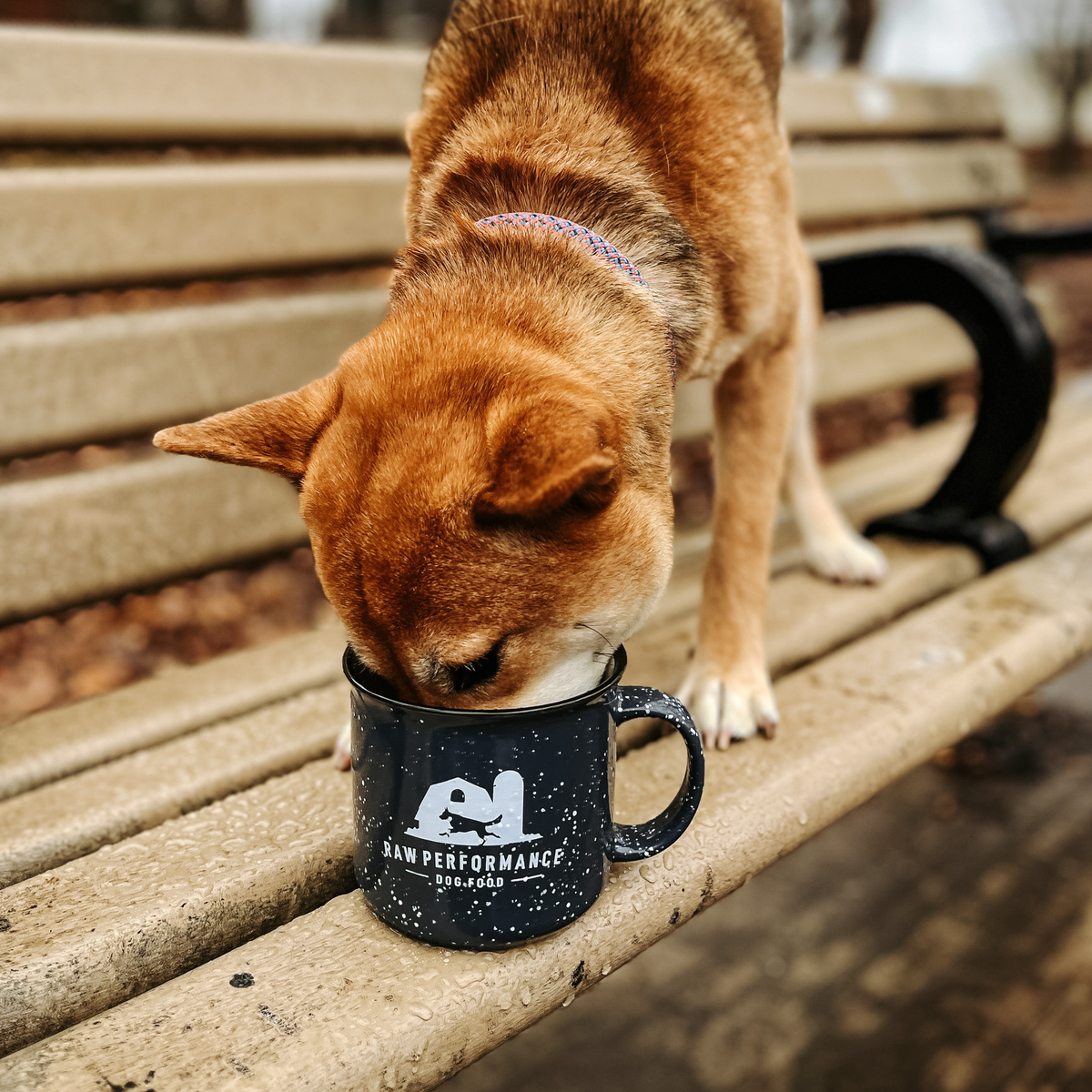 Tasse de feu de camp