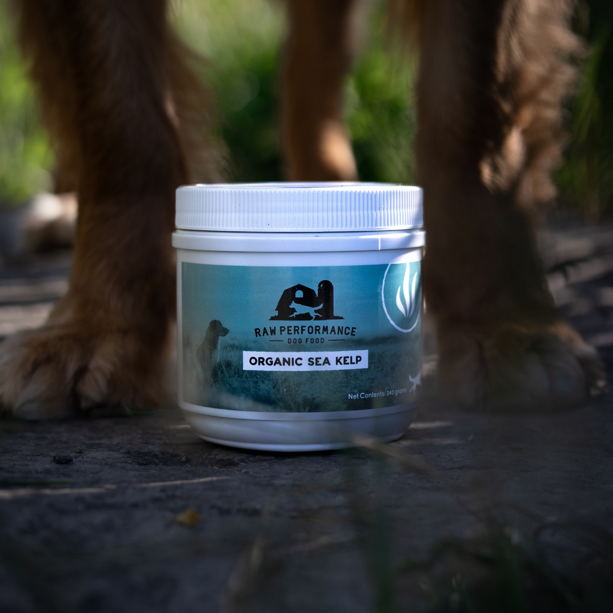 Kelp de mer biologique