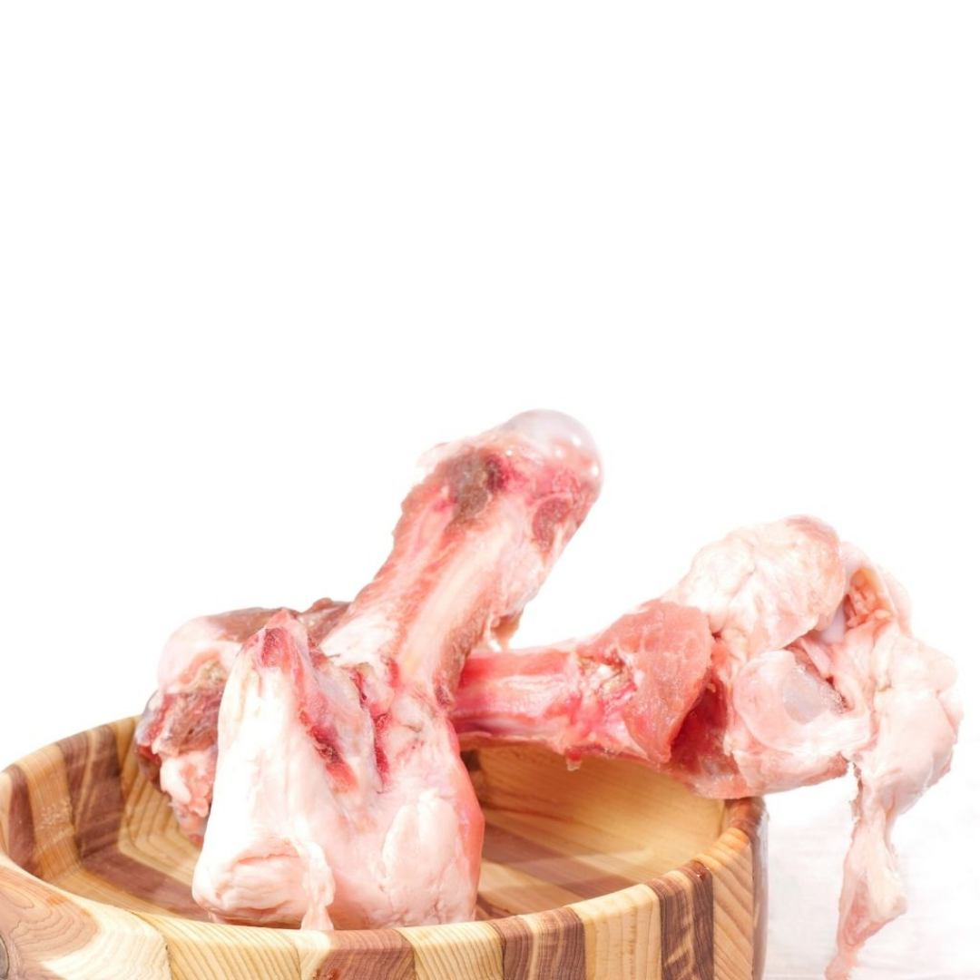 2 Pork Femurs Raw Dog Food Bones Ontario Delivery Raw Performance Dog Food
