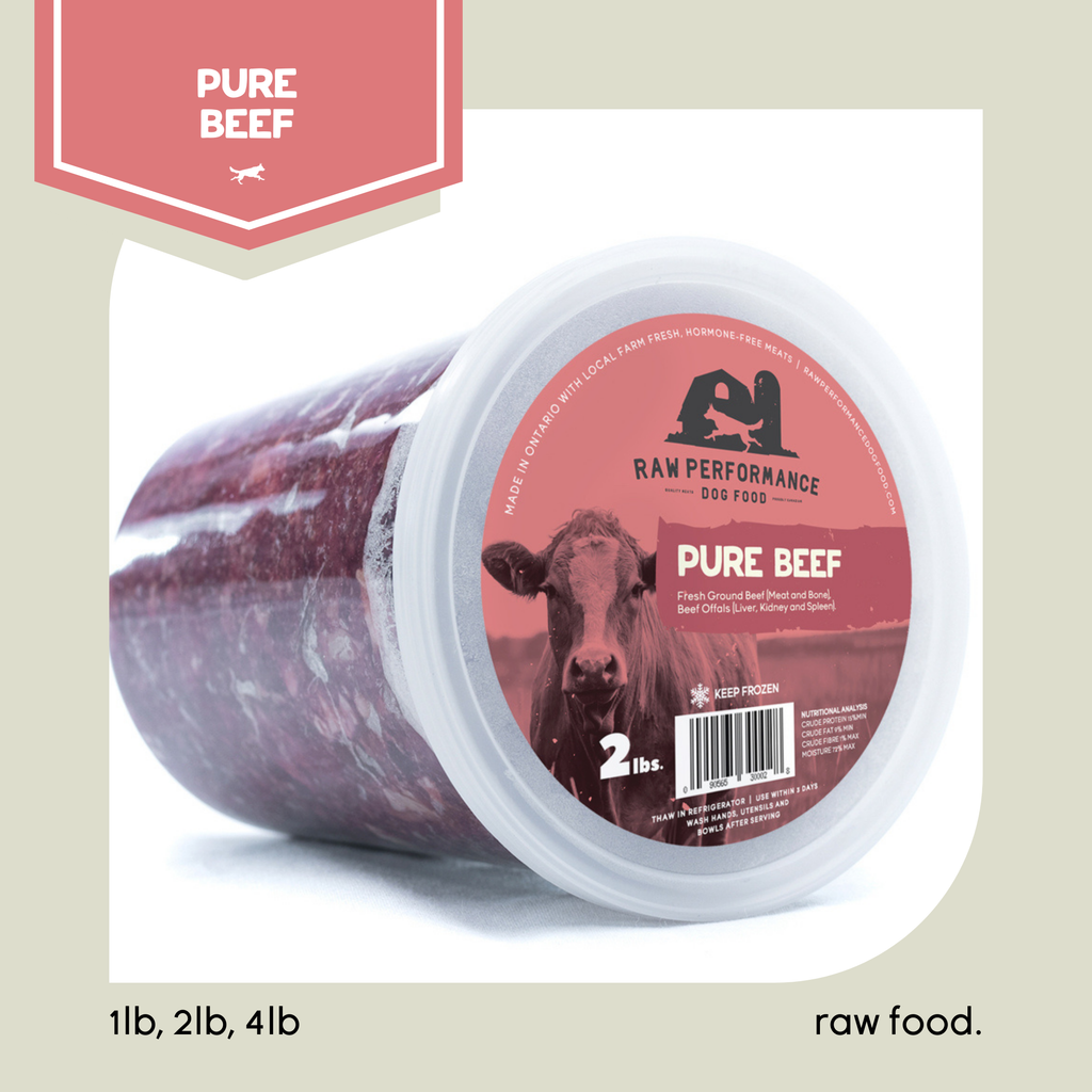 Pure protein dog food online
