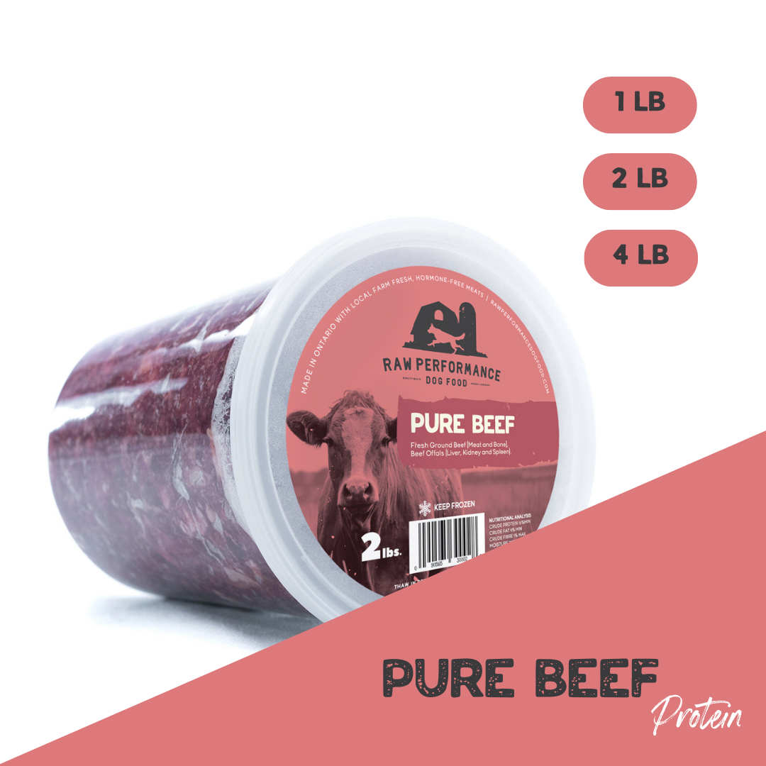 Fresh raw dog clearance food delivery