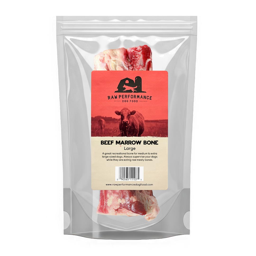 Raw beef marrow bone for dogs natural recreational chew for dental health