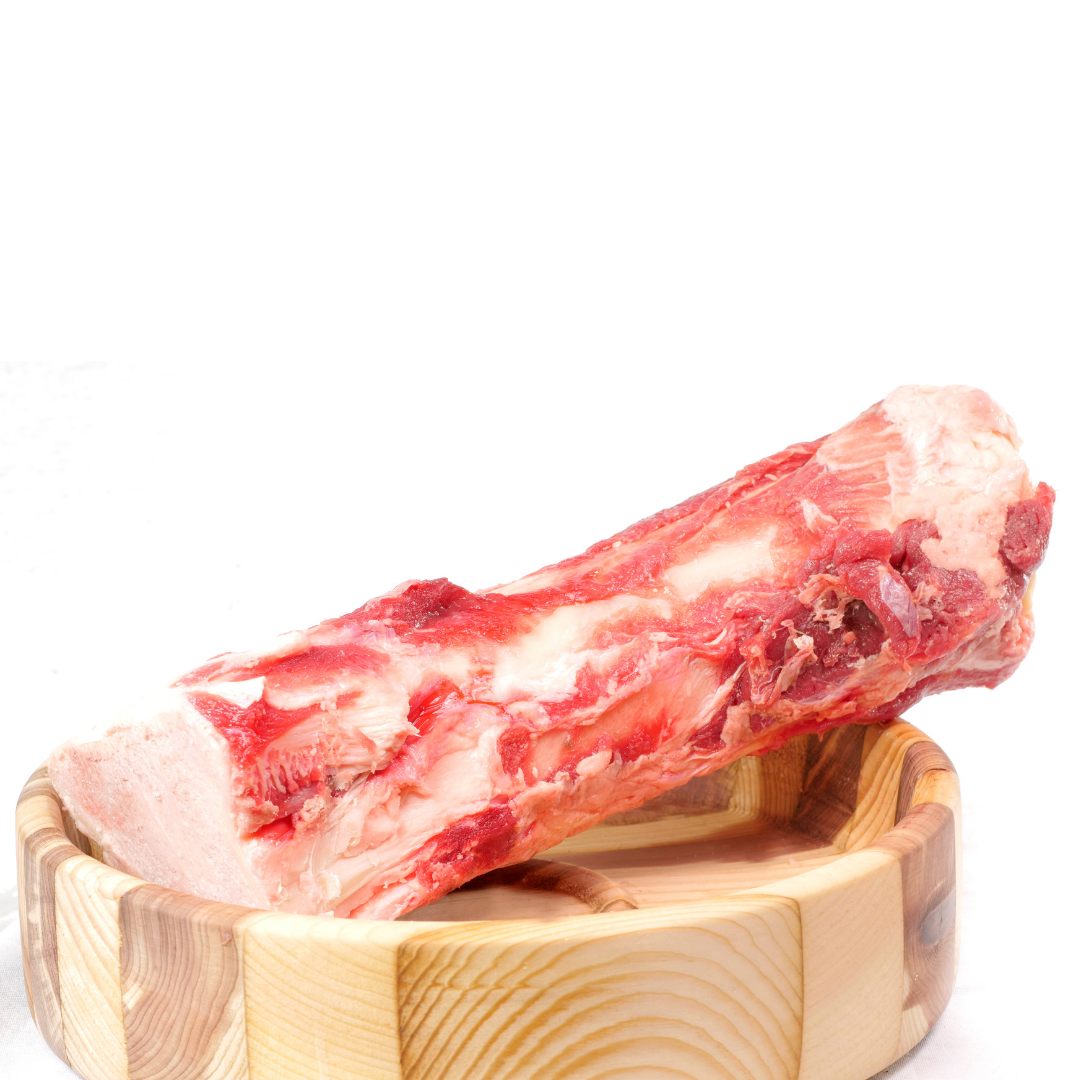 Raw beef marrow bone for dogs natural recreational chew for dental health