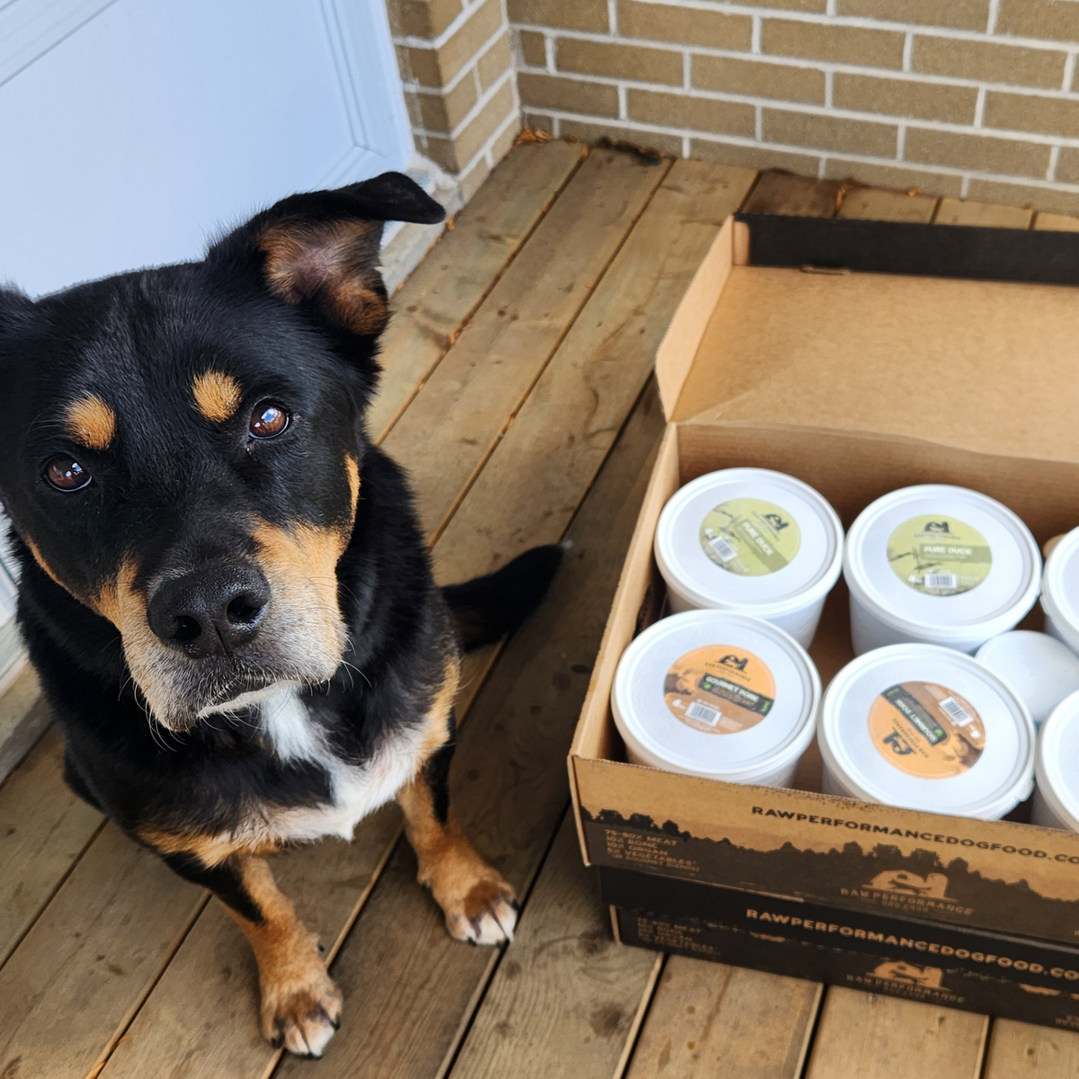 The Super Supreme Case