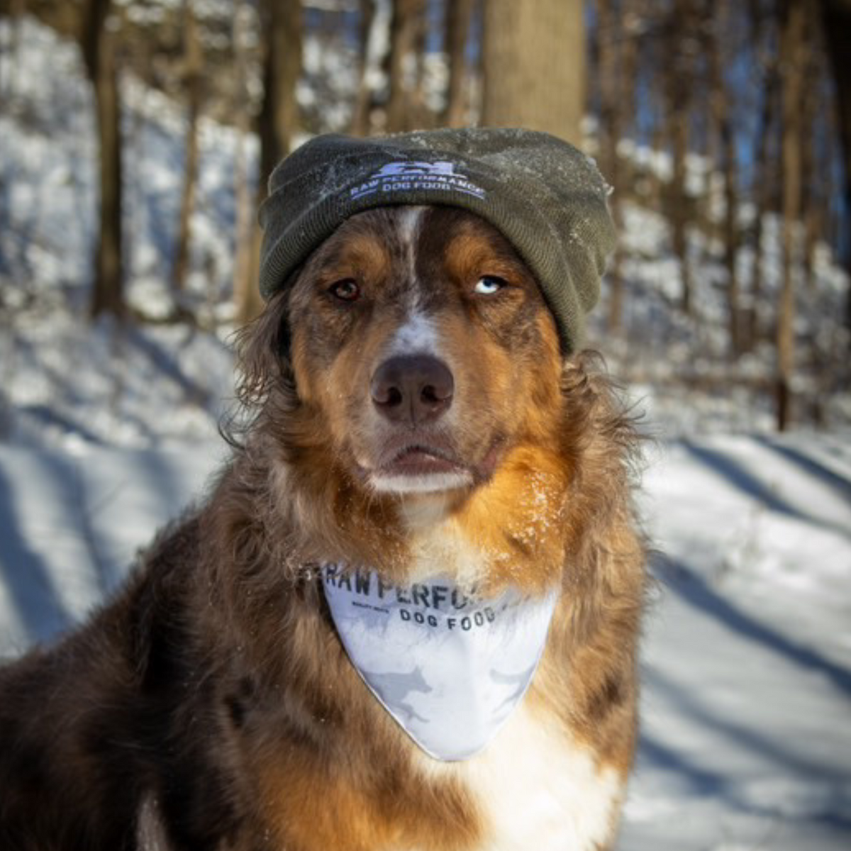 Performance brute toque