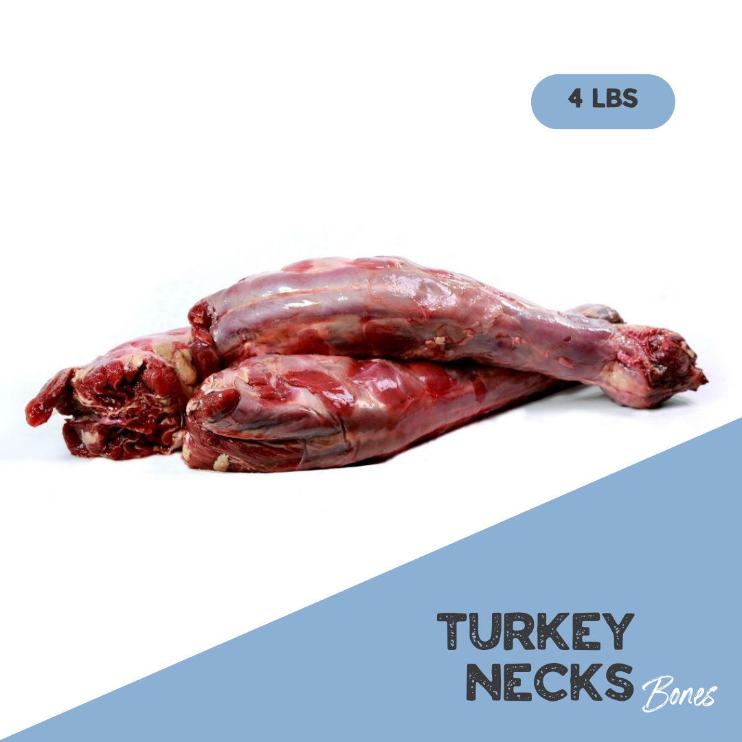 Raw steak best sale bones for dogs